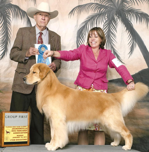 show dog of year